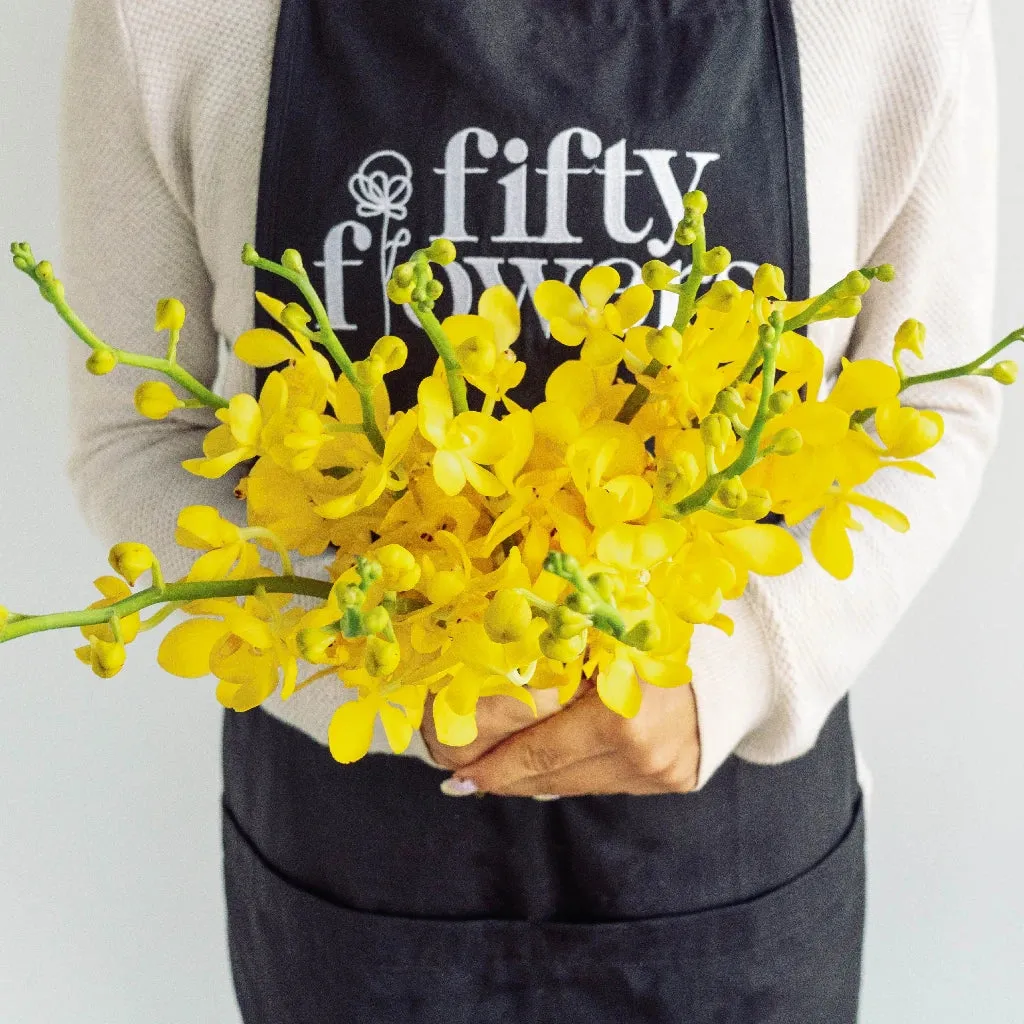 Sunshine Bright Yellow Mokara Orchid